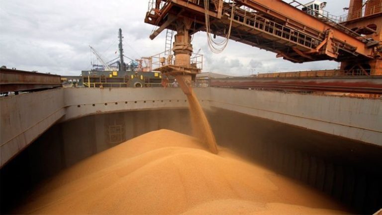Federación de Aceiteros lanza huelga nacional y paraliza plantas cerealeras