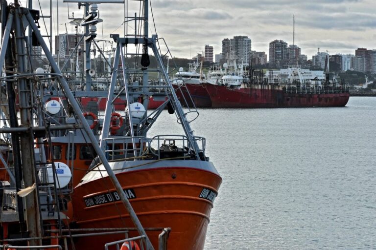 Los gremios pesqueros movilizan en Mar del Plata bajo la consigna “Somos producción, no gasto”